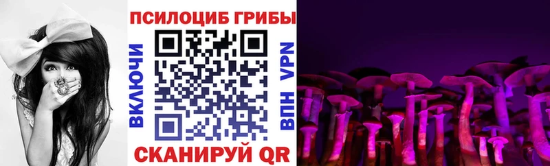 Псилоцибиновые грибы мицелий  кракен как войти  Ноябрьск  где можно купить  